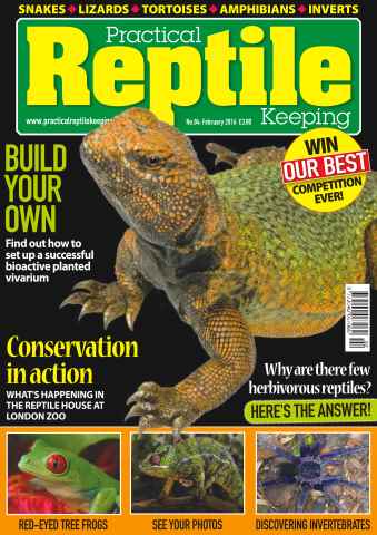 Practical Reptile Keeping issue No. 84 Build Your Own 