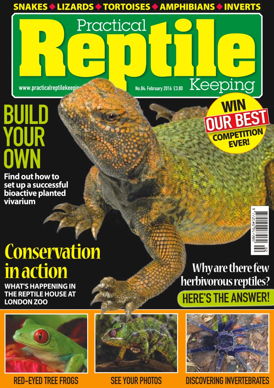 Practical Reptile Keeping Preview Pages