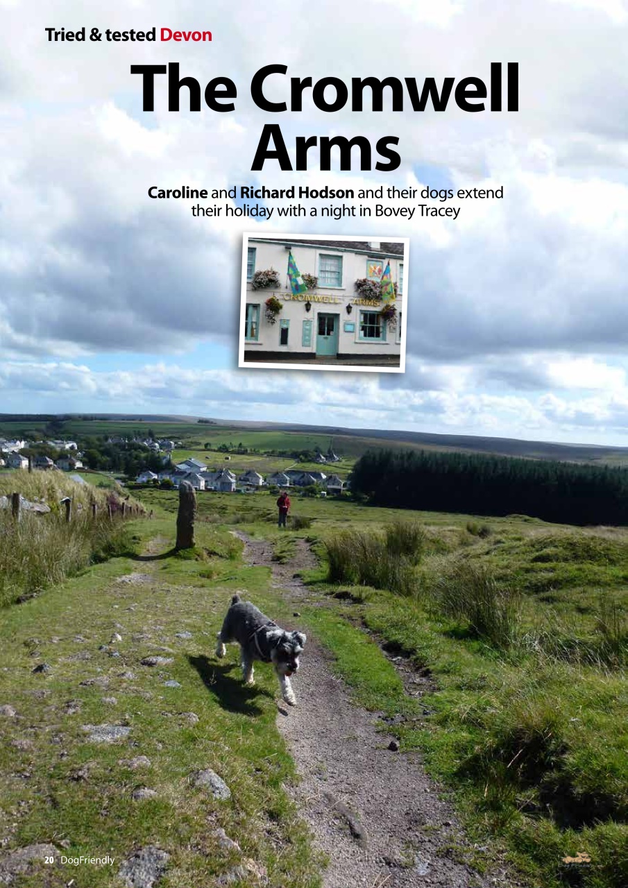 Dog Friendly Preview Pages