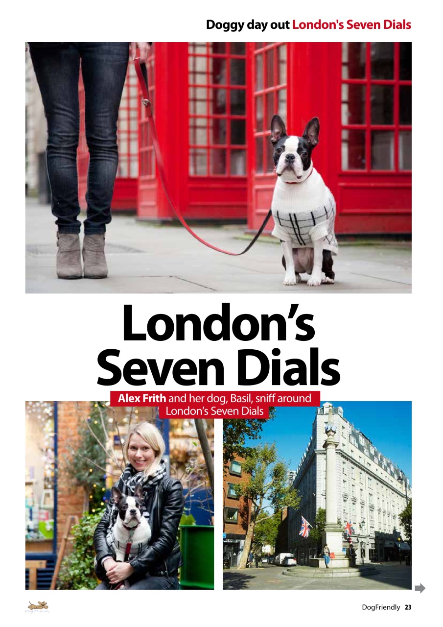 Dog Friendly Preview Pages
