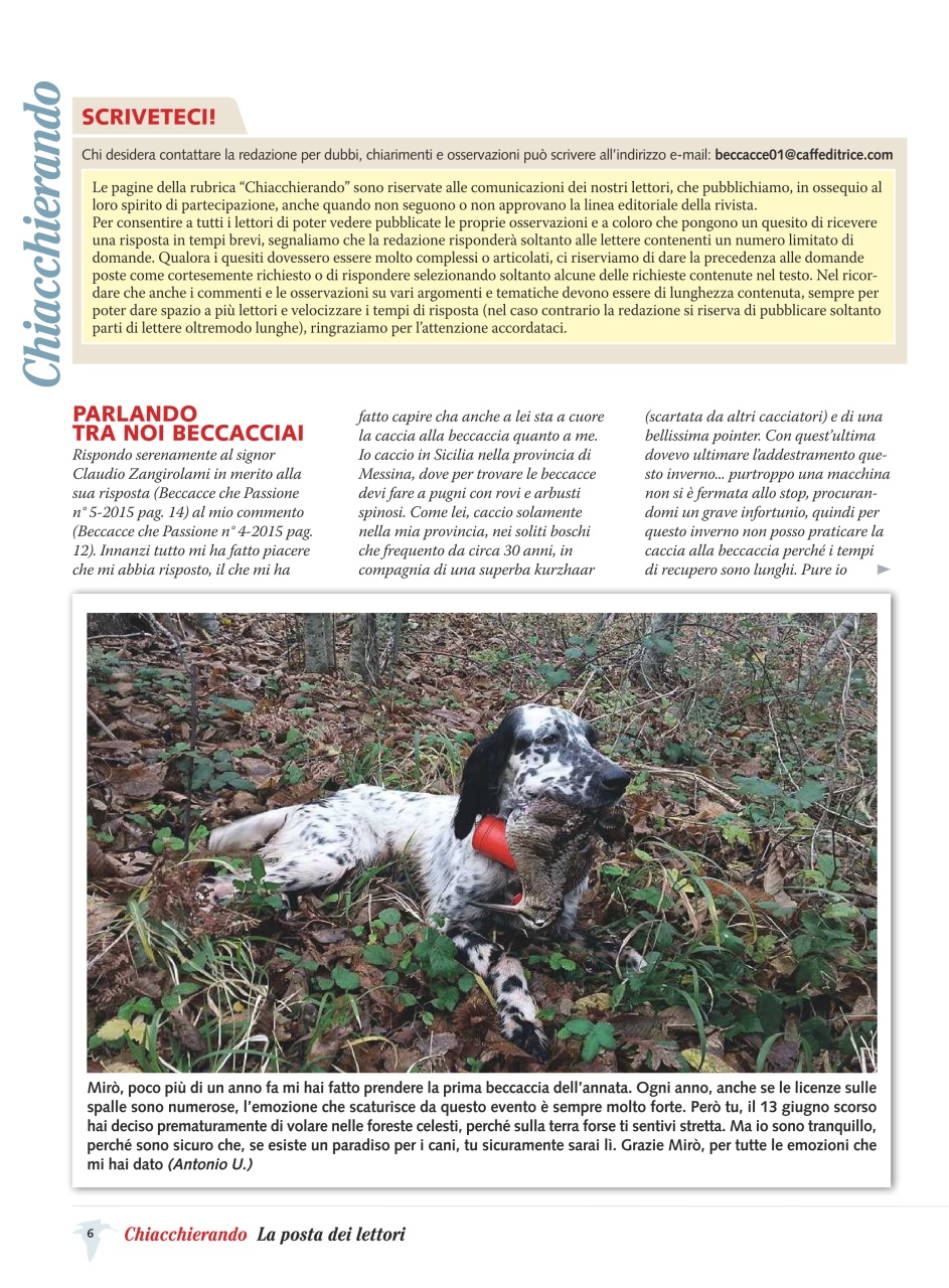 BECCACCE CHE PASSIONE Preview Pages