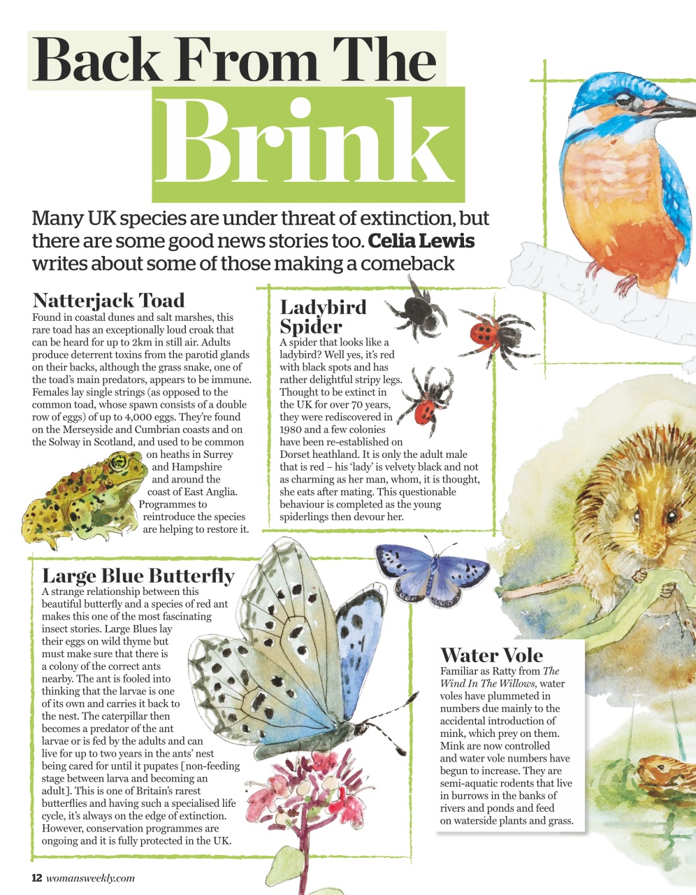 Woman's Weekly Preview Pages
