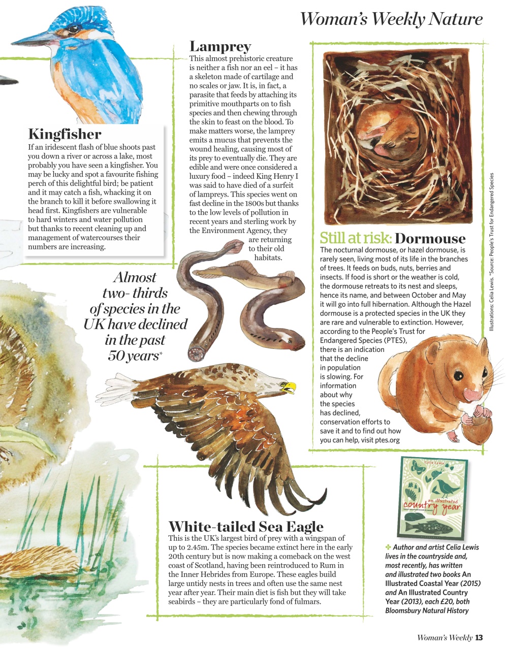 Woman's Weekly Preview Pages