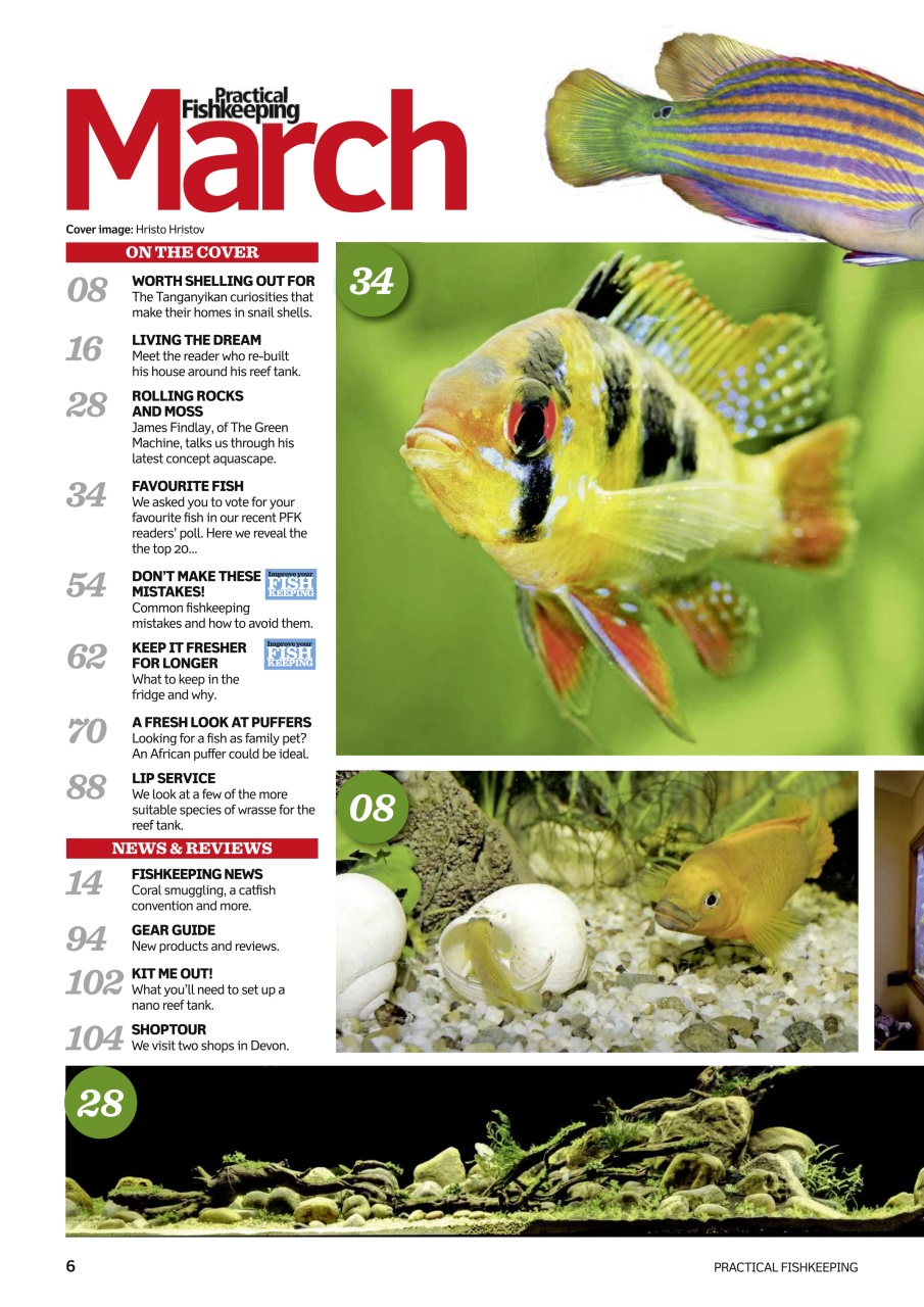 Practical Fishkeeping Preview Pages