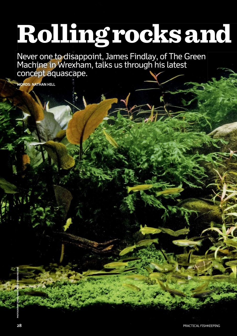 Practical Fishkeeping Preview Pages