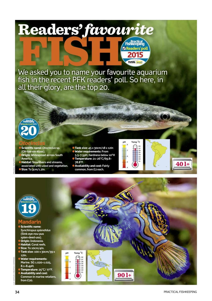 Practical Fishkeeping Preview Pages