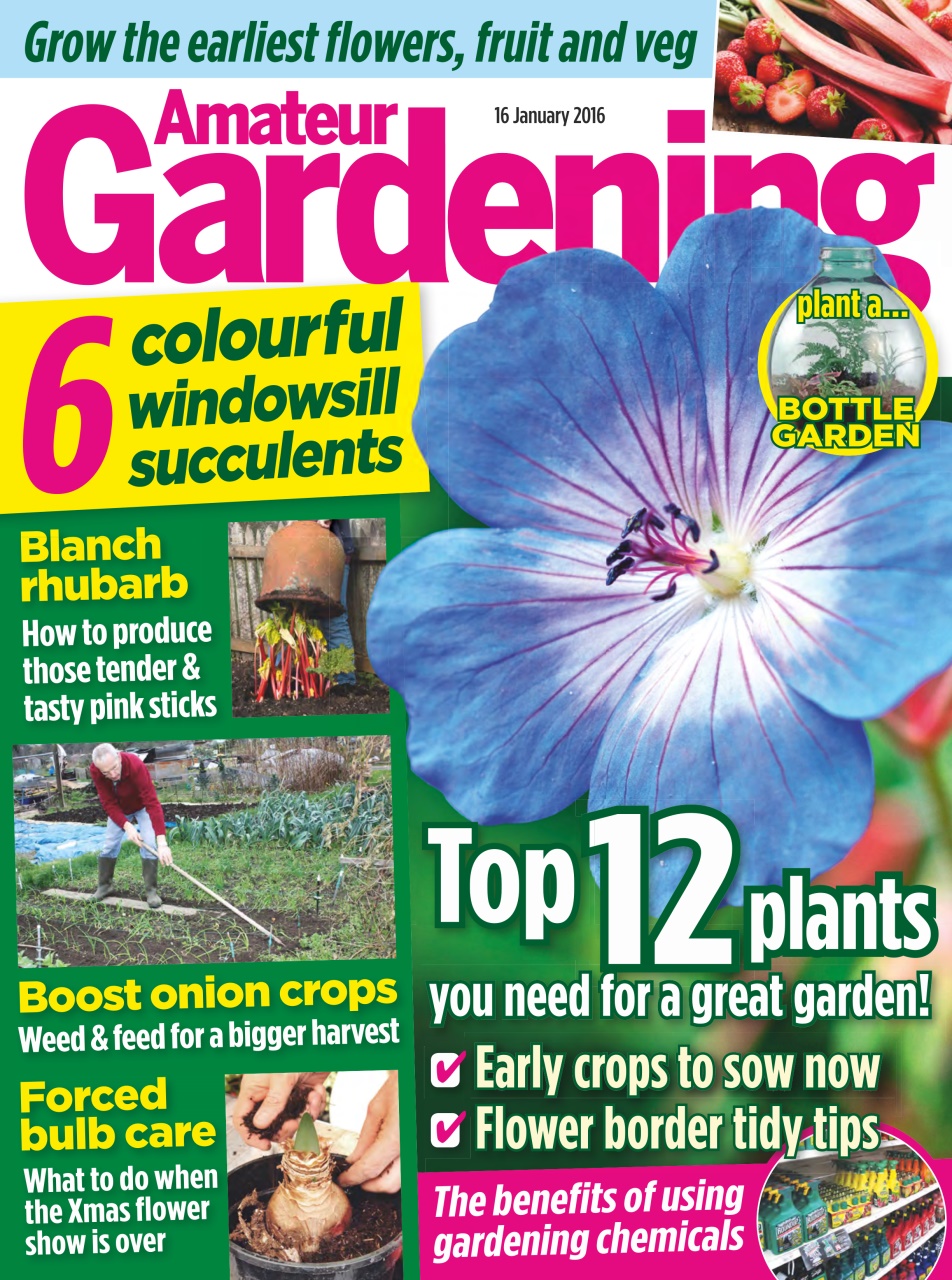 Amateur Gardening Preview Pages