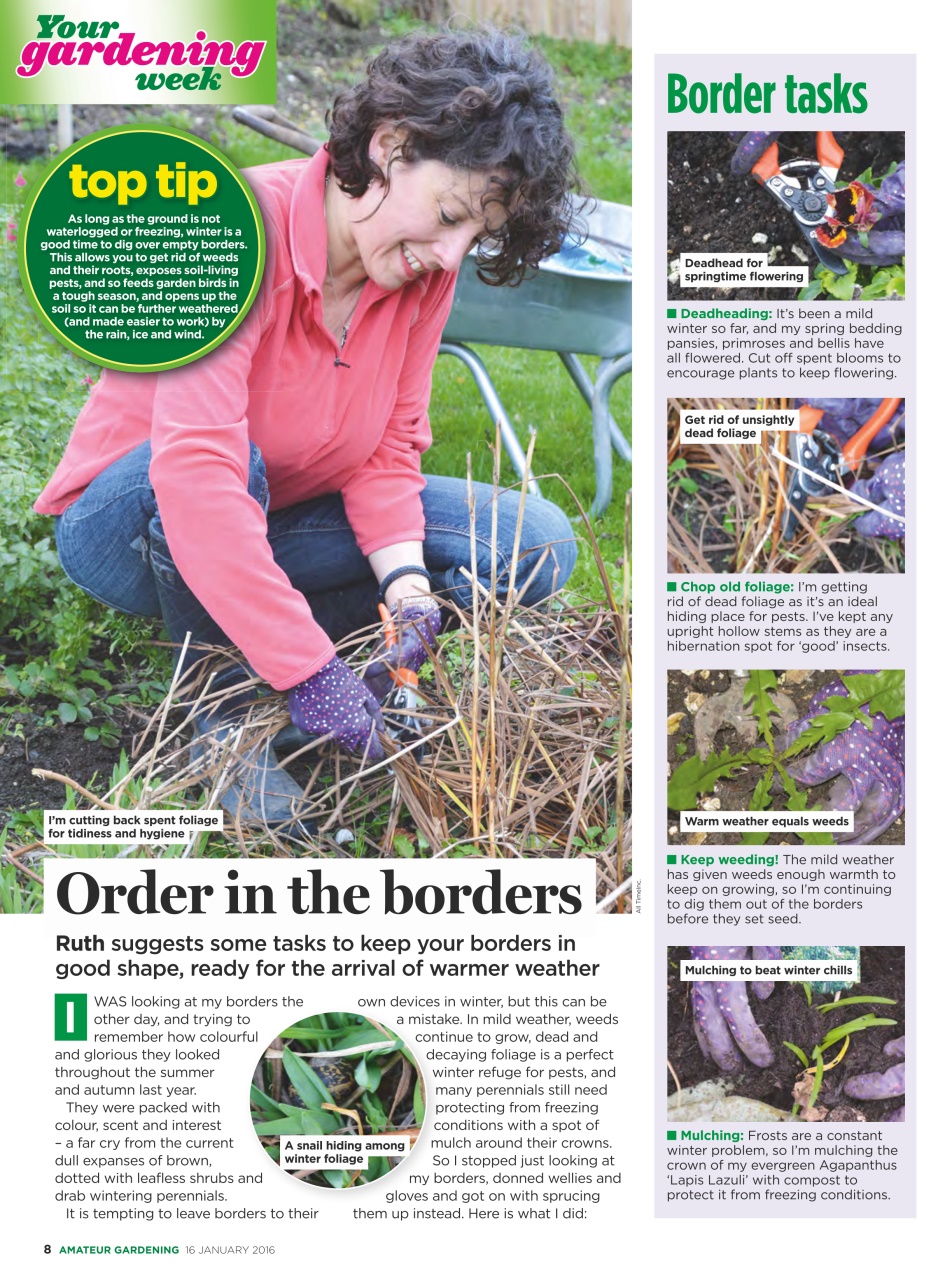 Amateur Gardening Preview Pages