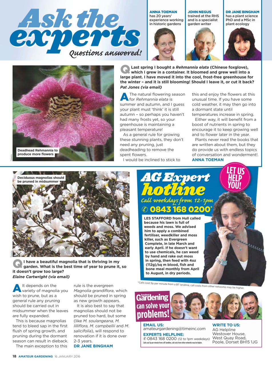 Amateur Gardening Preview Pages