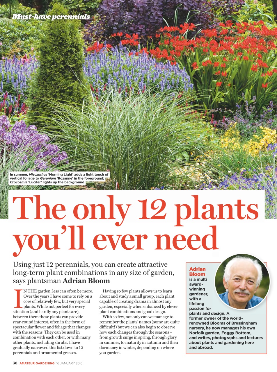 Amateur Gardening Preview Pages