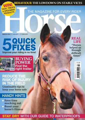 Horse issue March 2016