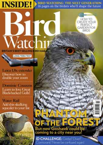Bird Watching issue February 2016