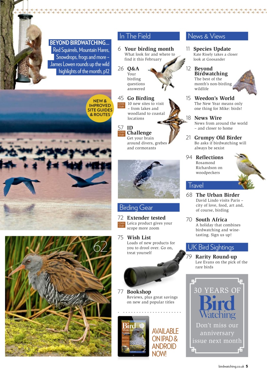Bird Watching Preview Pages