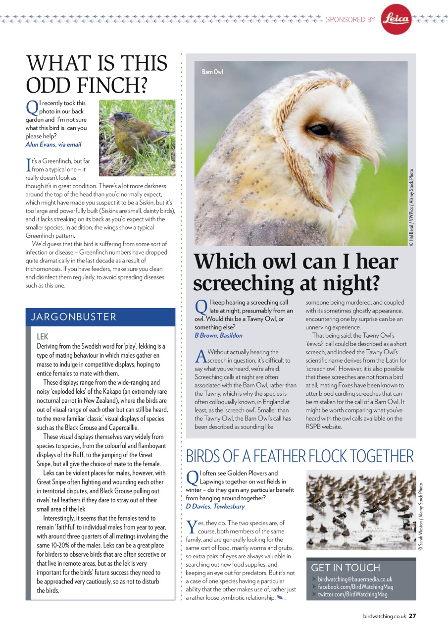 Bird Watching Preview Pages