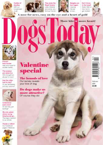 Dogs Today Magazine issue February 2016