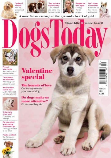 Dogs Today Magazine issue 