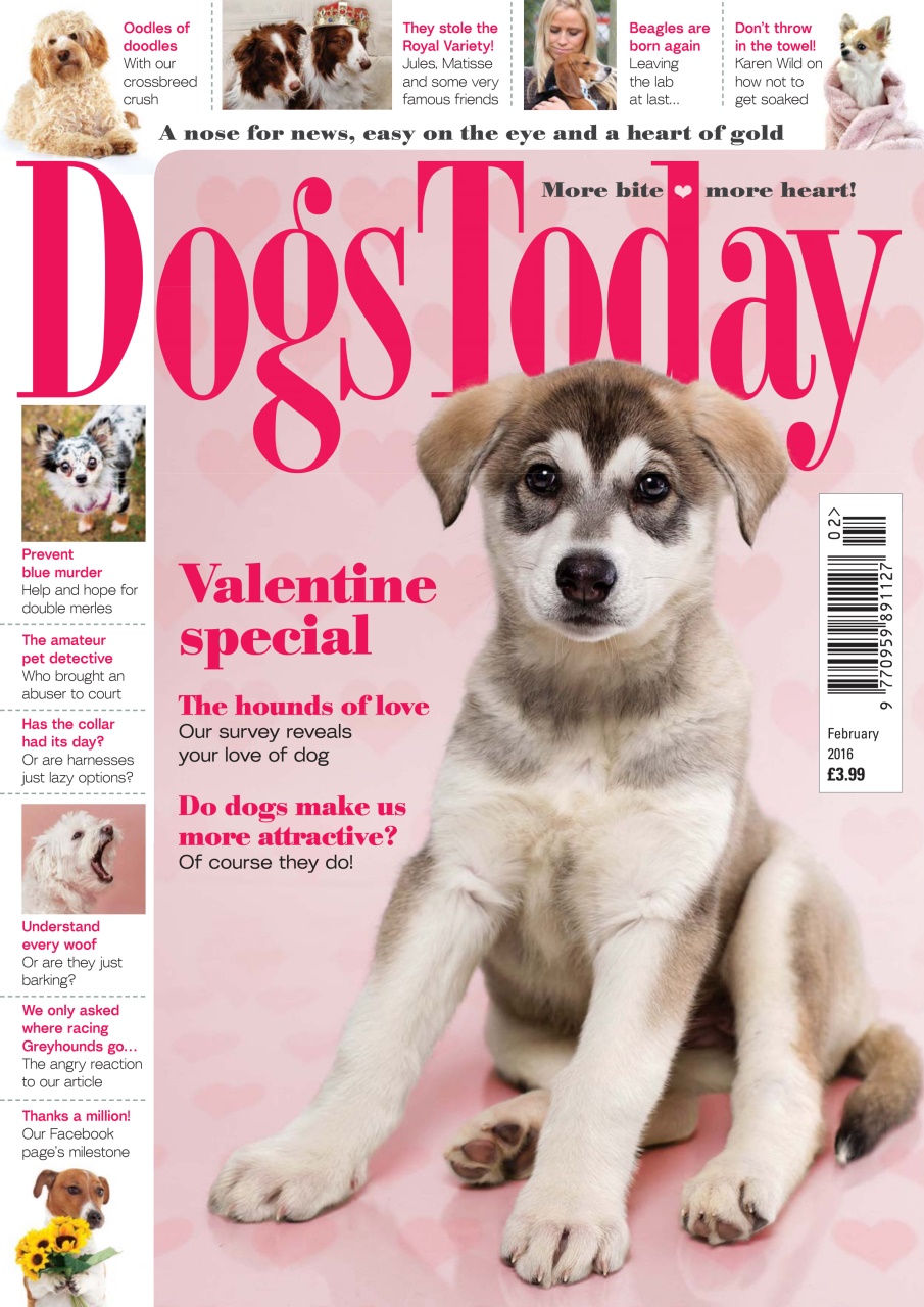 Dogs Today Magazine Preview Pages