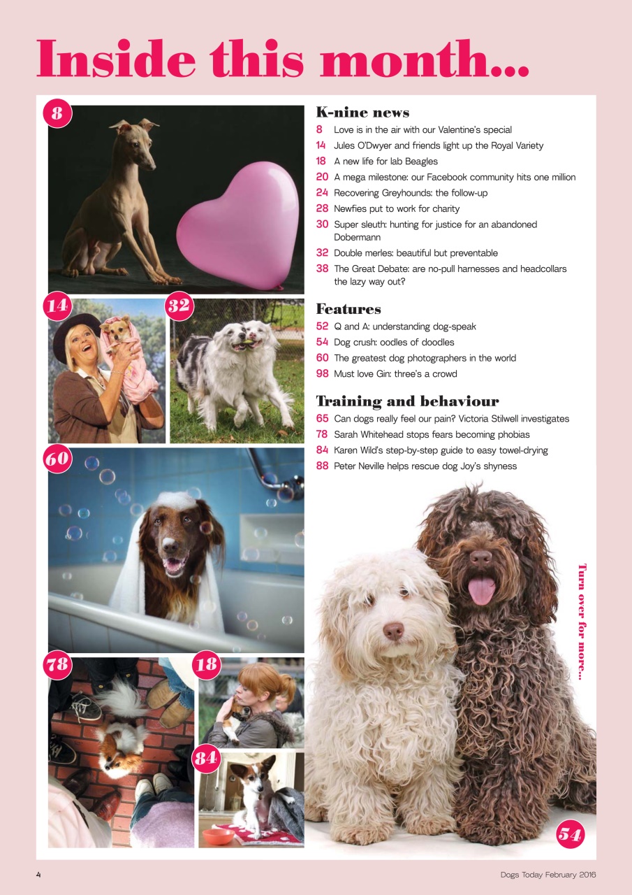 Dogs Today Magazine Preview Pages