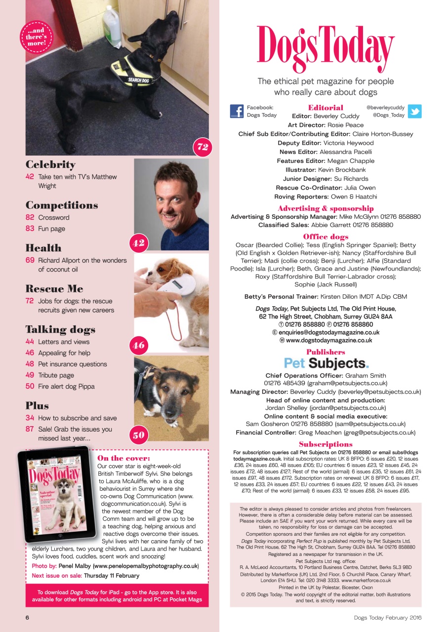 Dogs Today Magazine Preview Pages