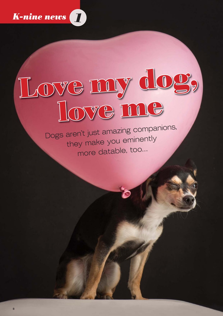 Dogs Today Magazine Preview Pages