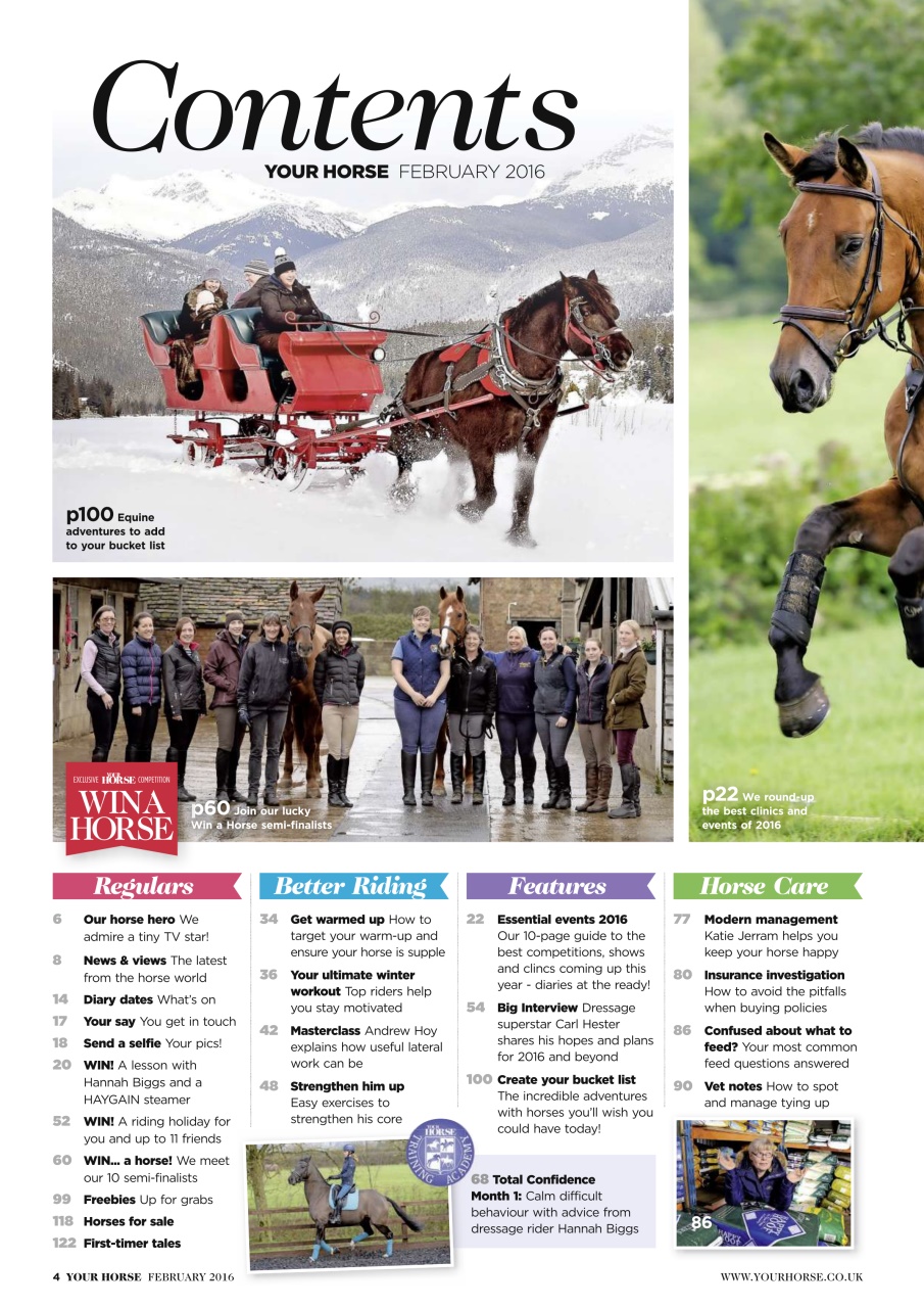 Your Horse Preview Pages