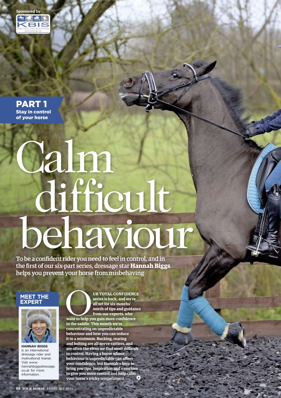 Your Horse Preview Pages