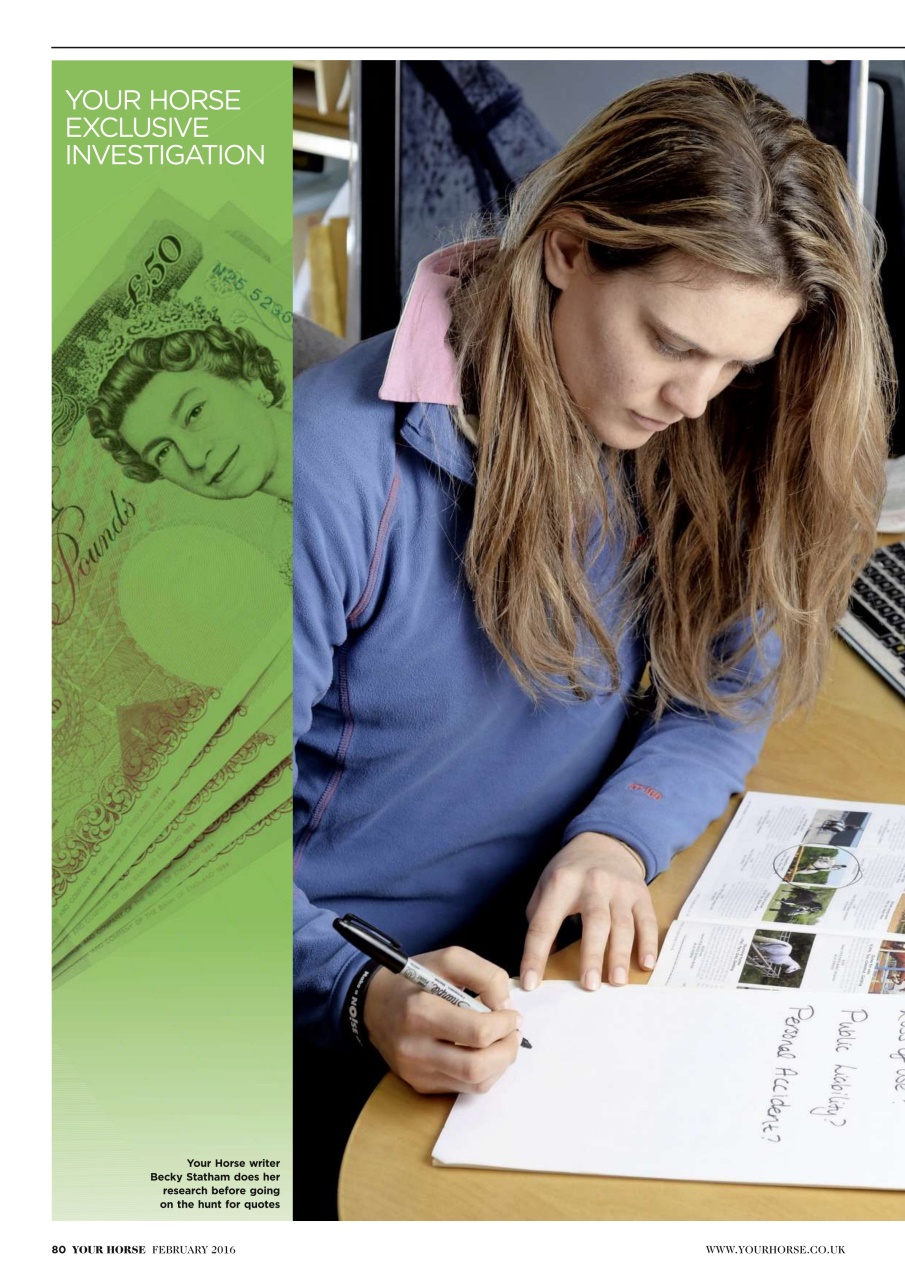 Your Horse Preview Pages