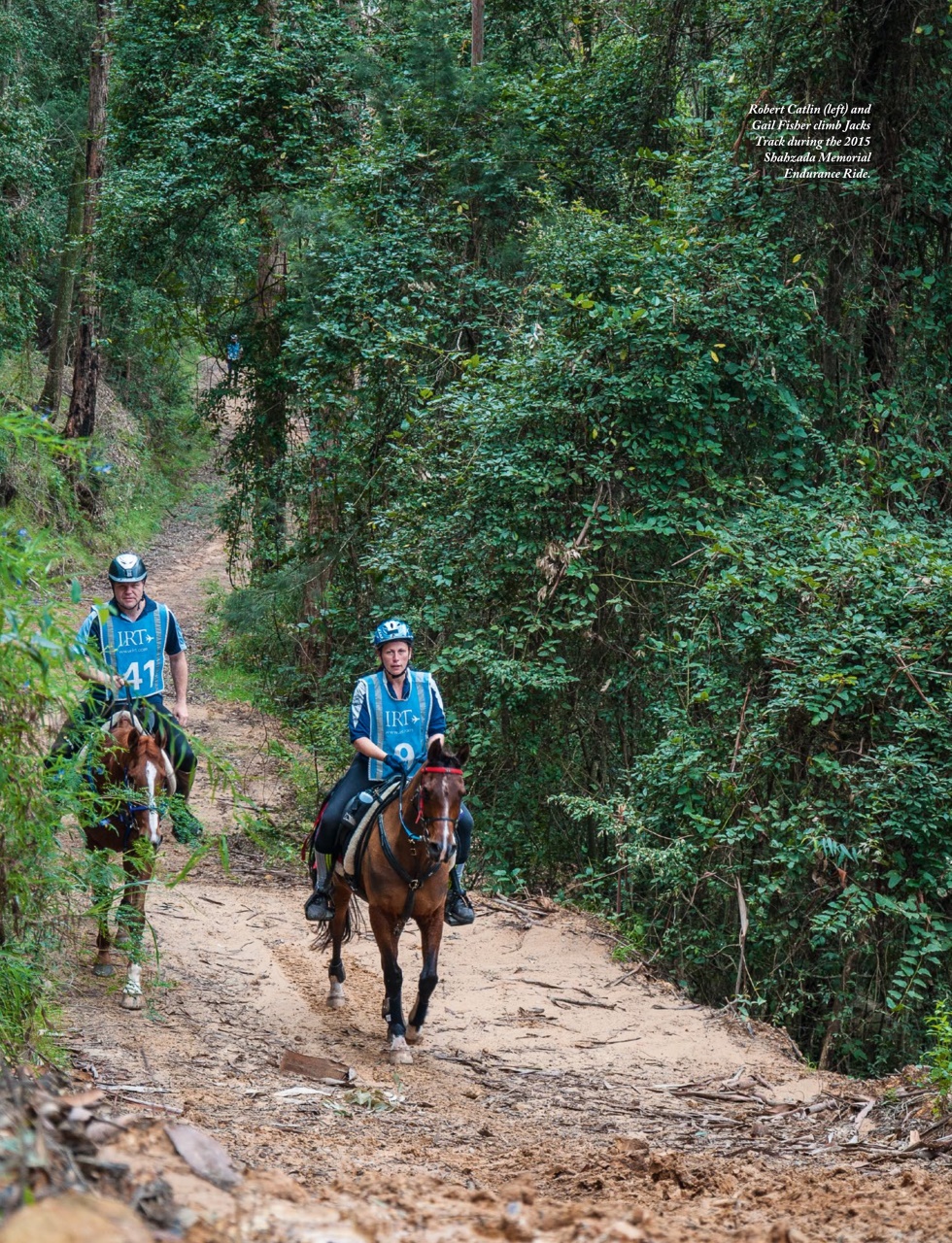 OUTBACK Magazine Preview Pages