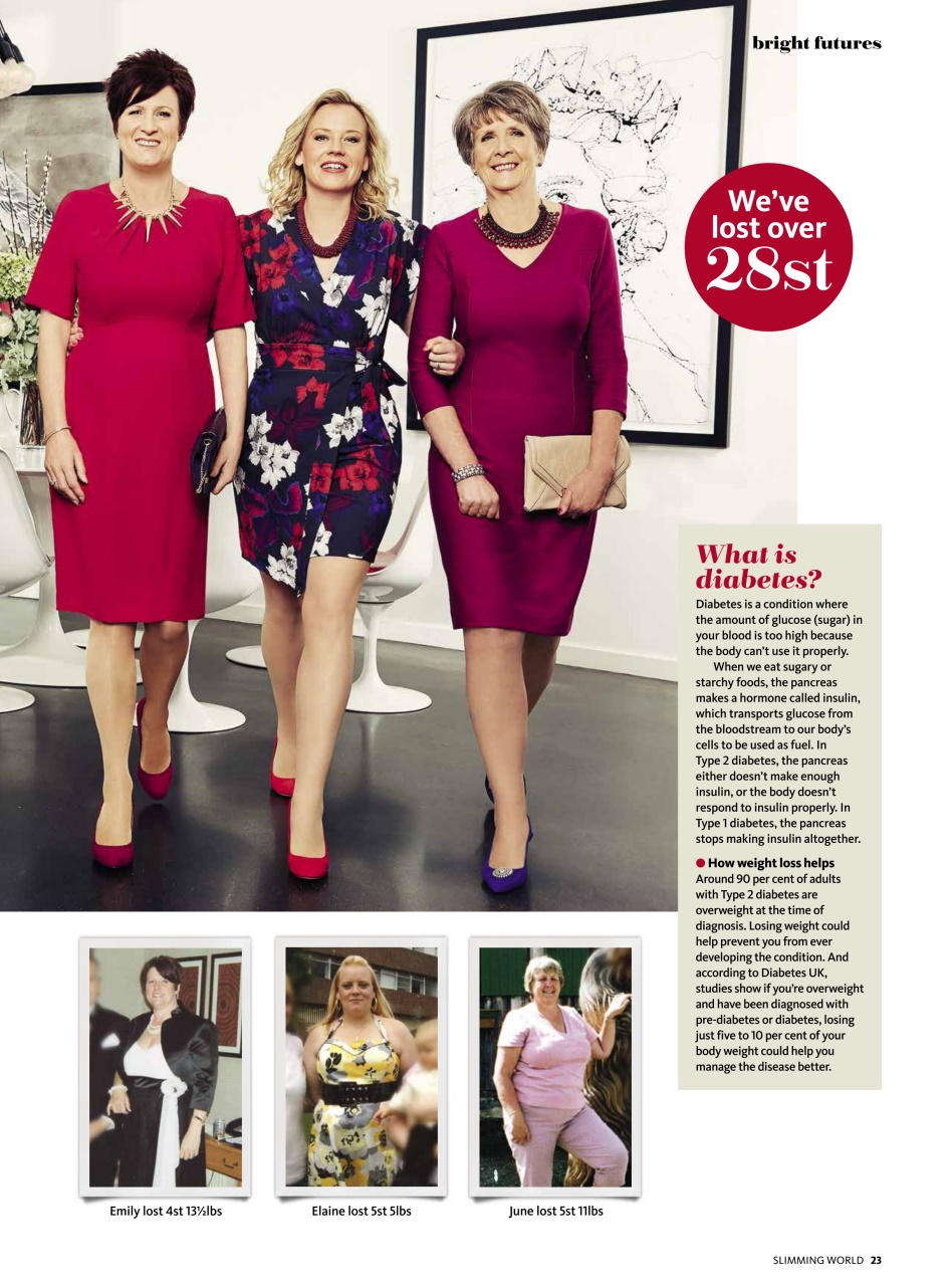 Slimming World Preview Pages