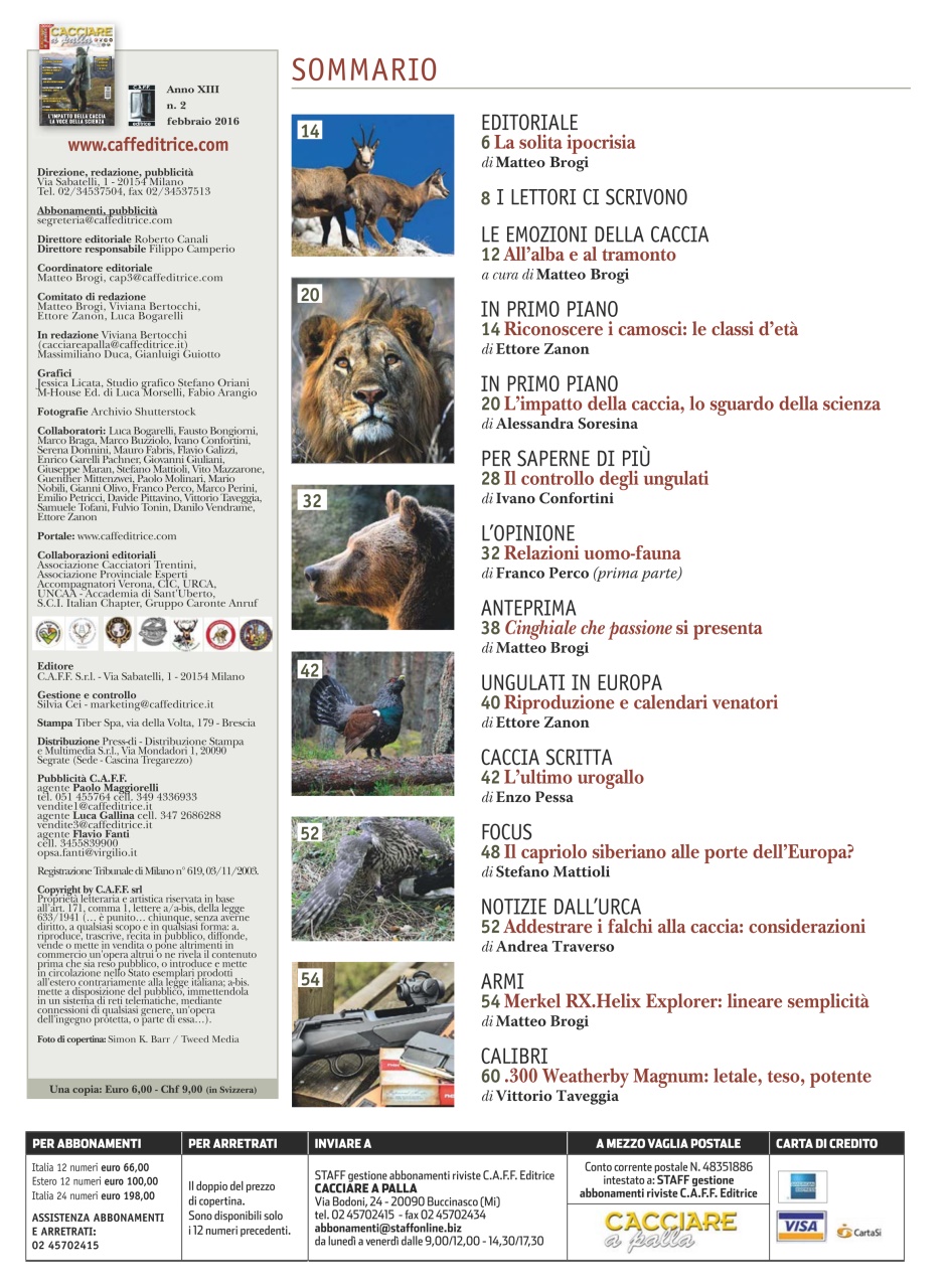 Caccia Magazine Preview Pages