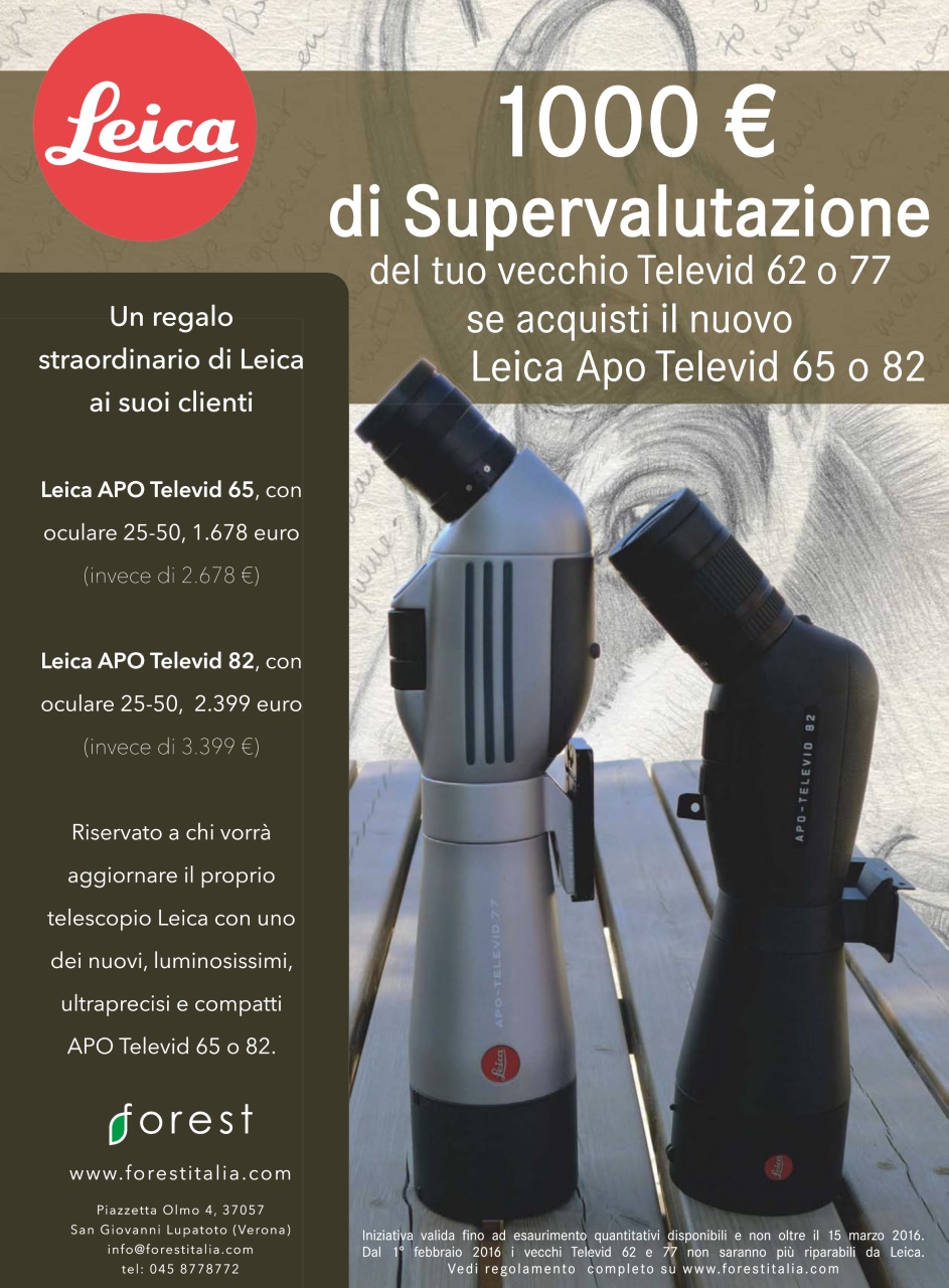 Caccia Magazine Preview Pages