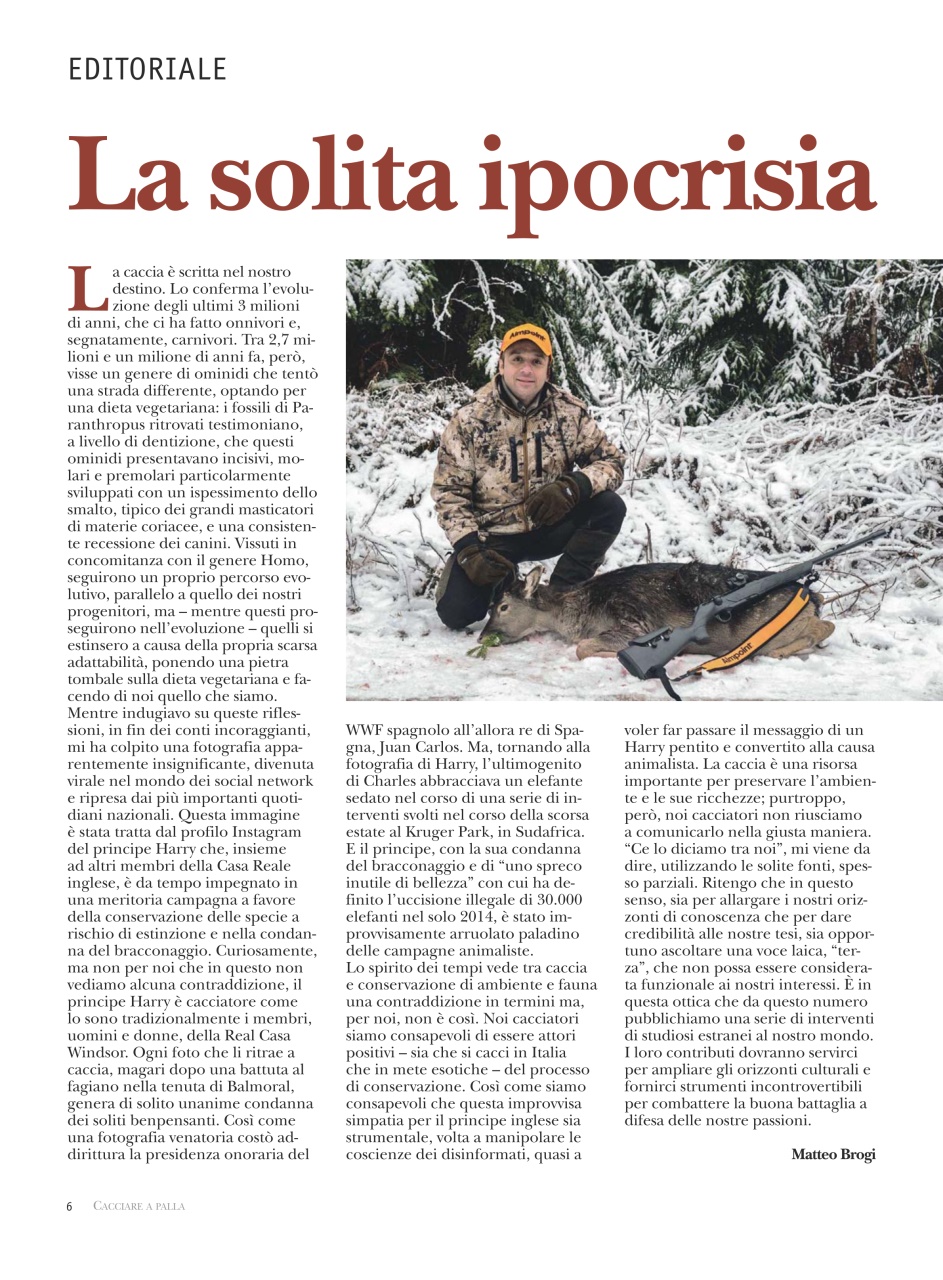 Caccia Magazine Preview Pages