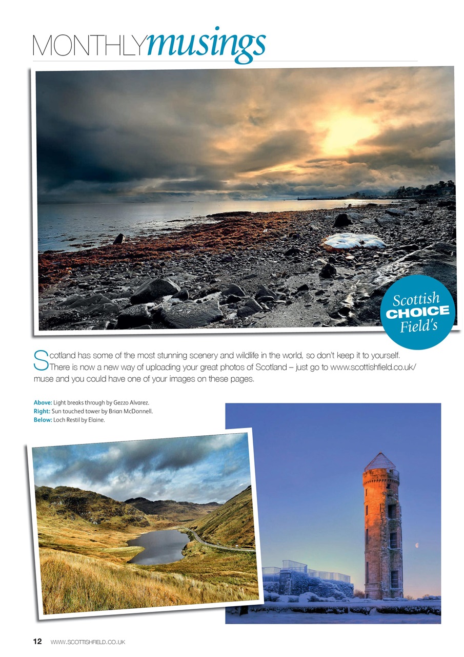 Scottish Field Preview Pages