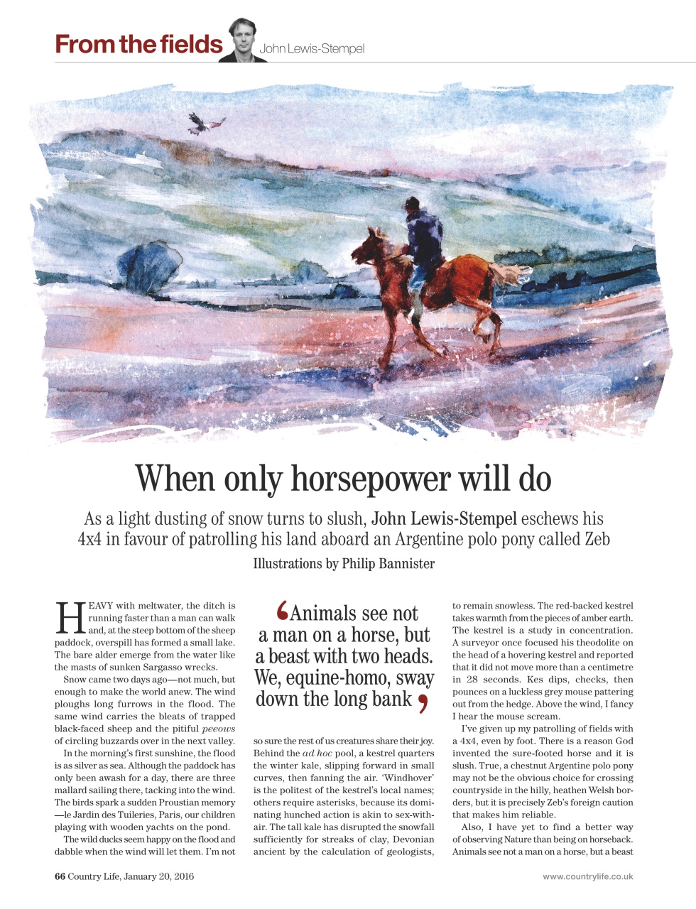 Country Life Preview Pages