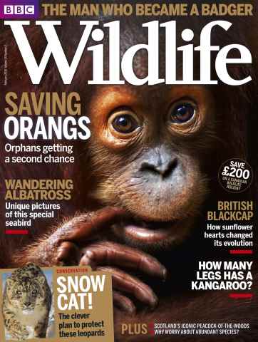 BBC Wildlife Magazine issue February 2016
