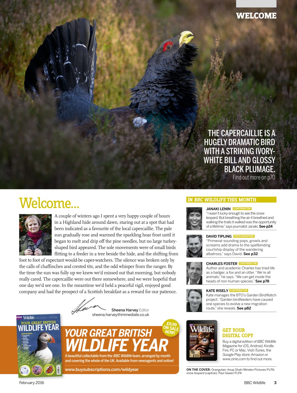 BBC Wildlife Magazine Preview Pages