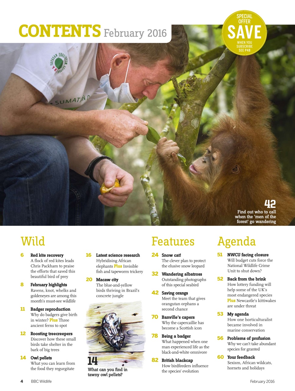 BBC Wildlife Magazine Preview Pages