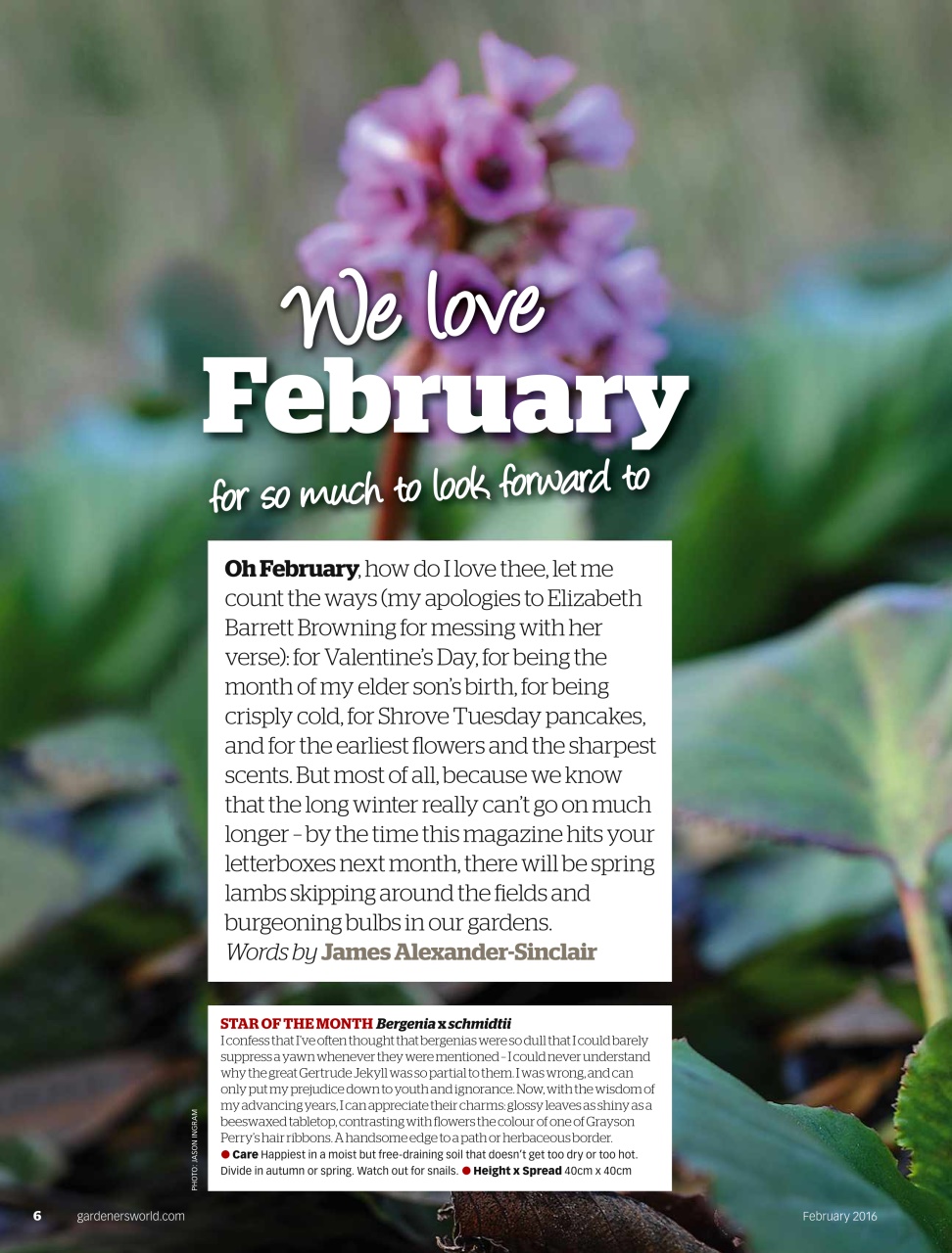 BBC Gardeners’ World Magazine Preview Pages
