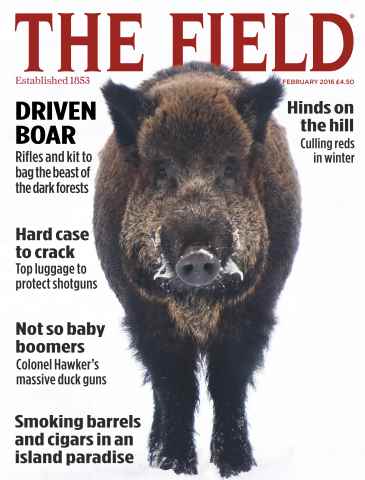 The Field issue February 2016