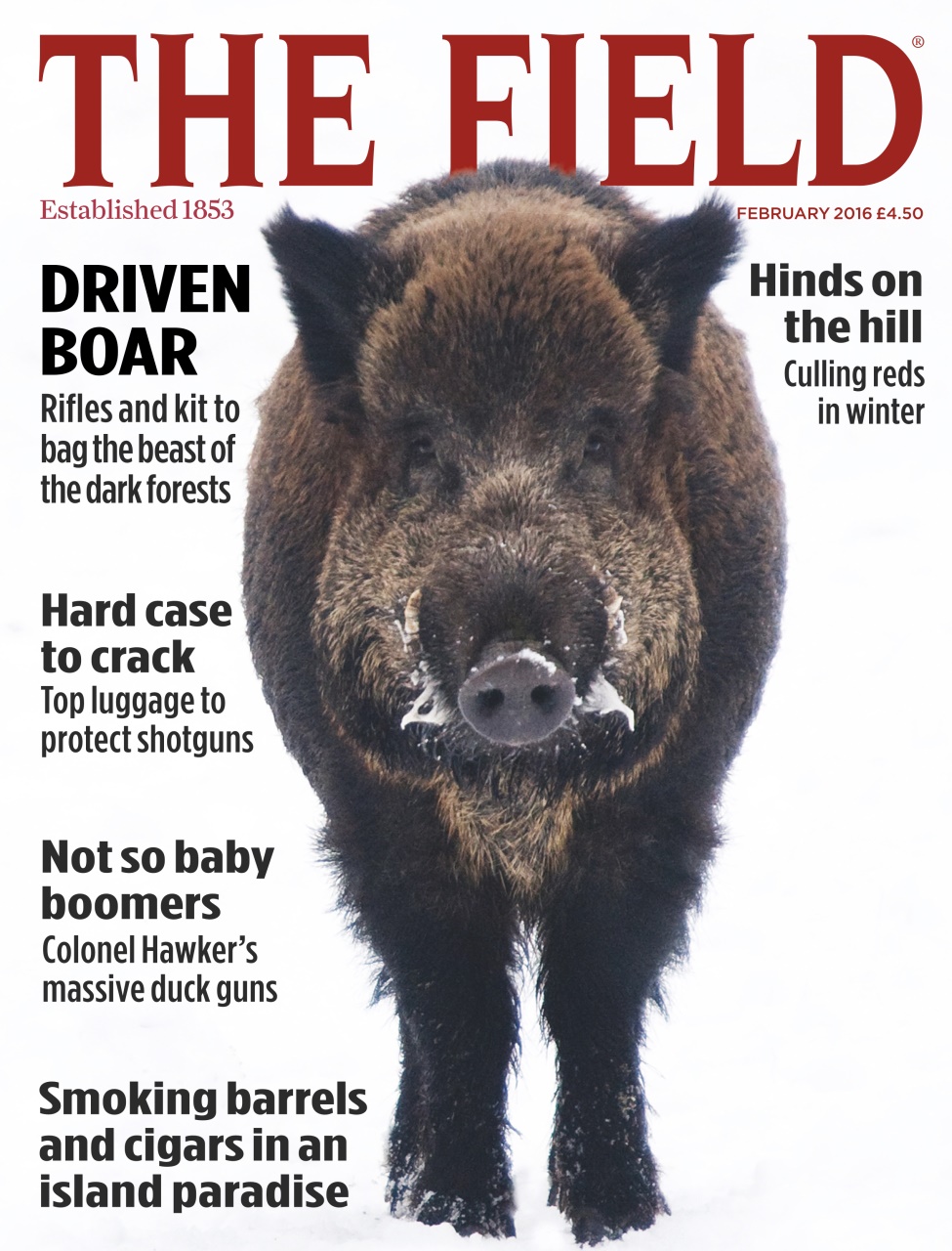 The Field Preview Pages