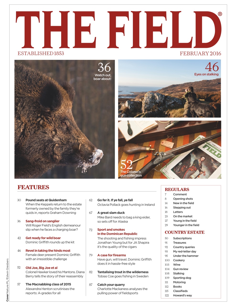 The Field Preview Pages