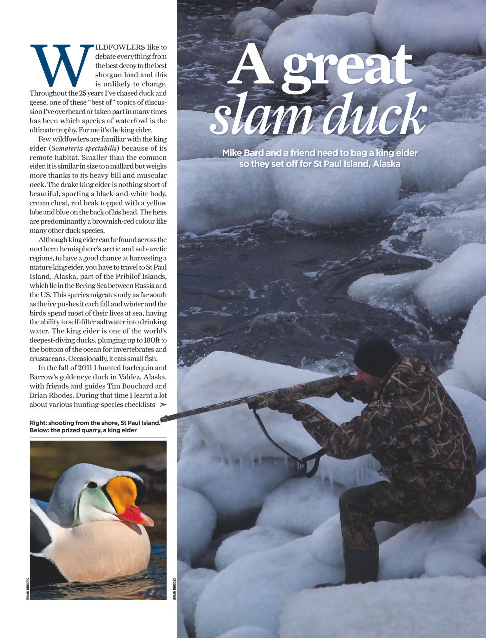 The Field Preview Pages