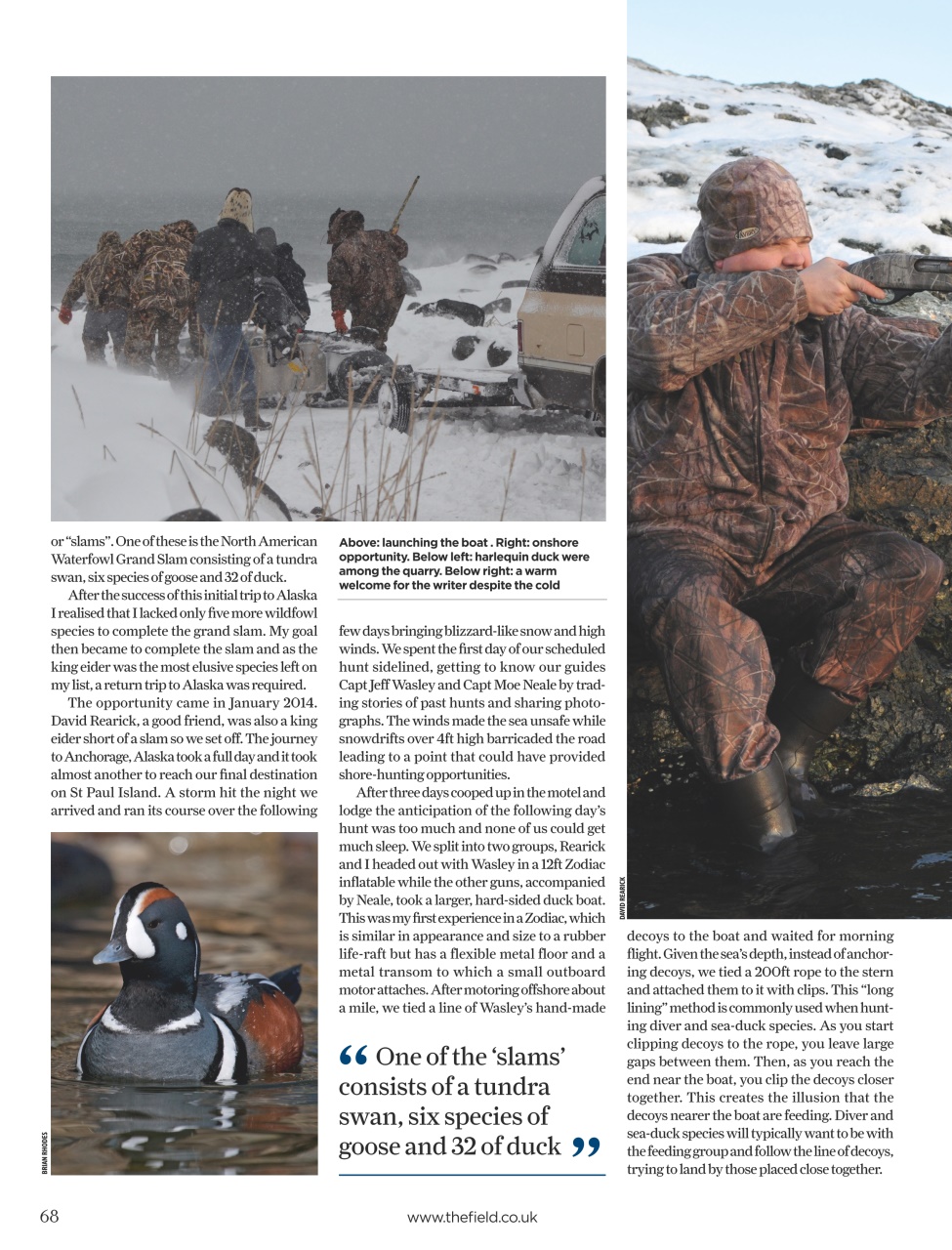 The Field Preview Pages