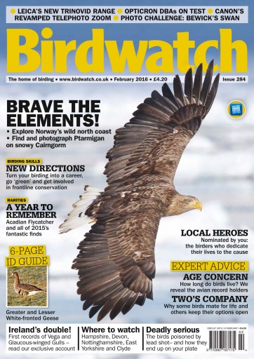 Birdwatch Magazine issue 