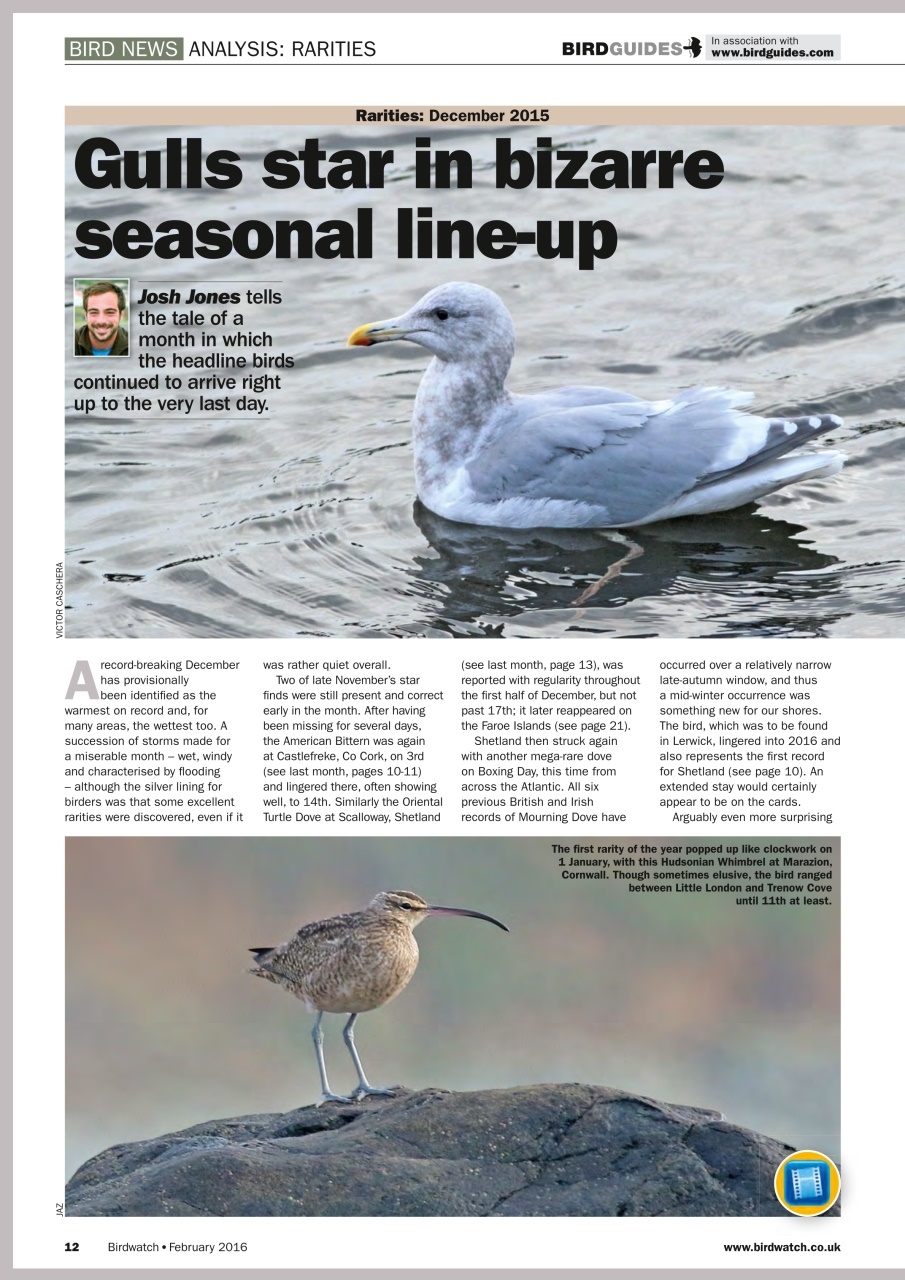 Birdwatch Magazine Preview Pages