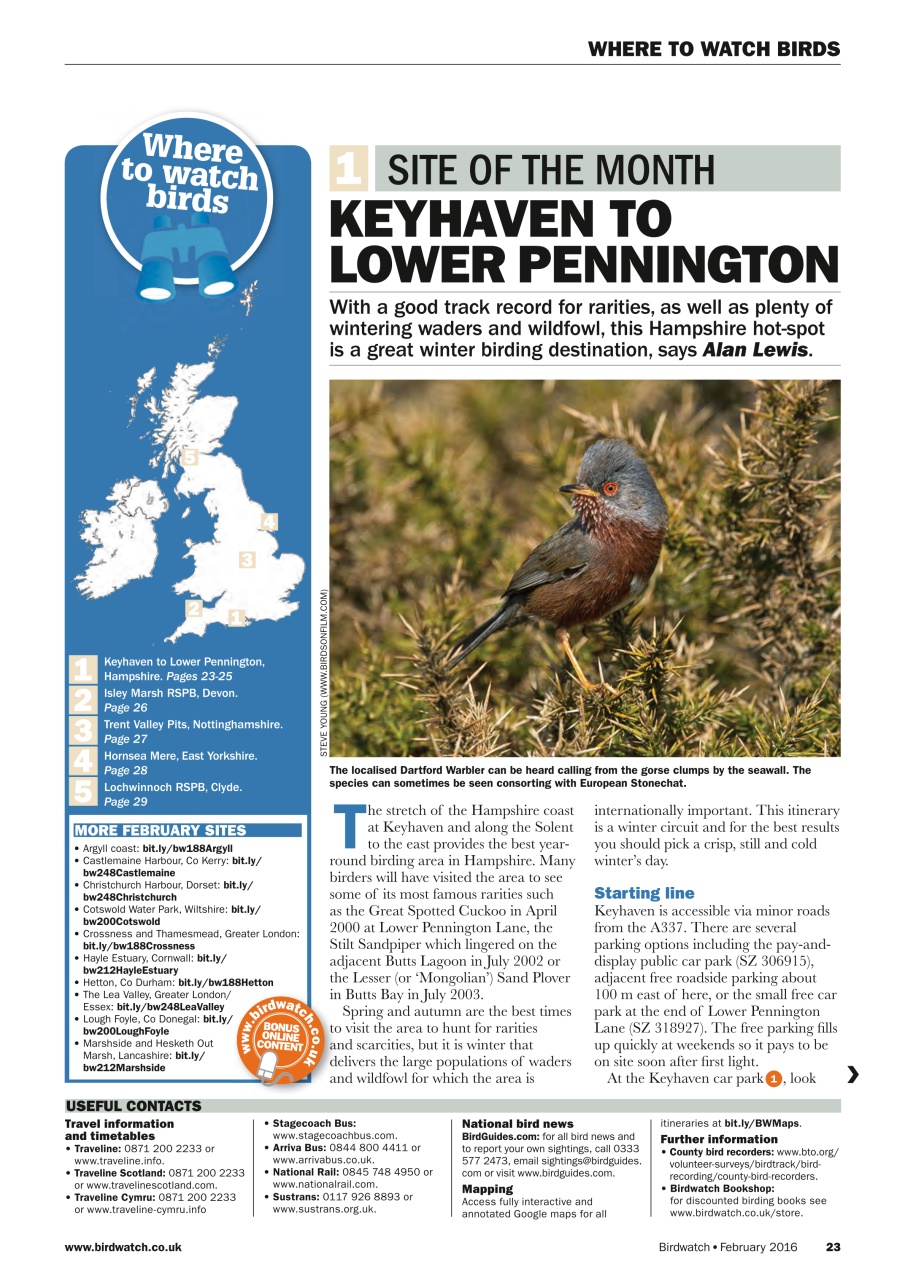 Birdwatch Magazine Preview Pages