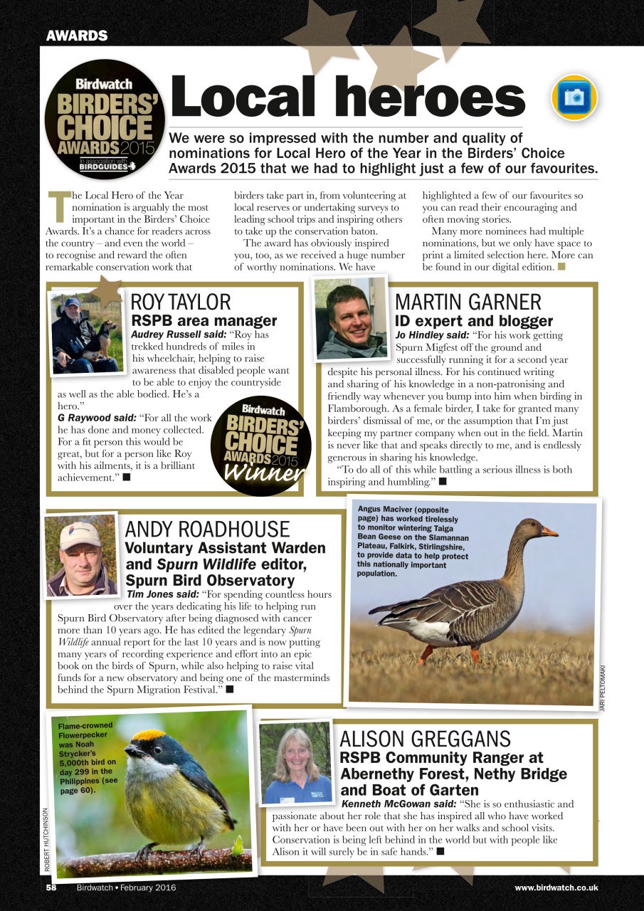 Birdwatch Magazine Preview Pages