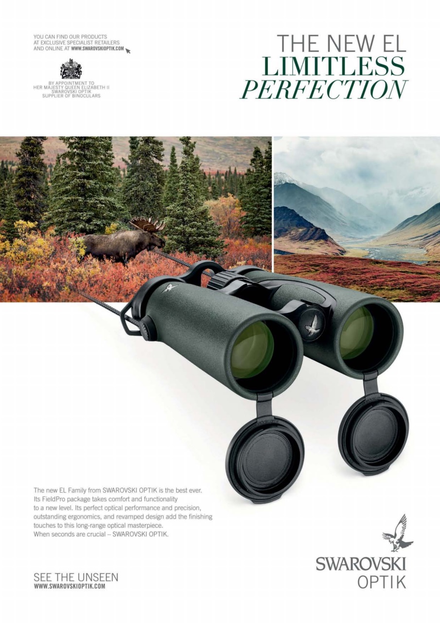 Sporting Rifle Preview Pages