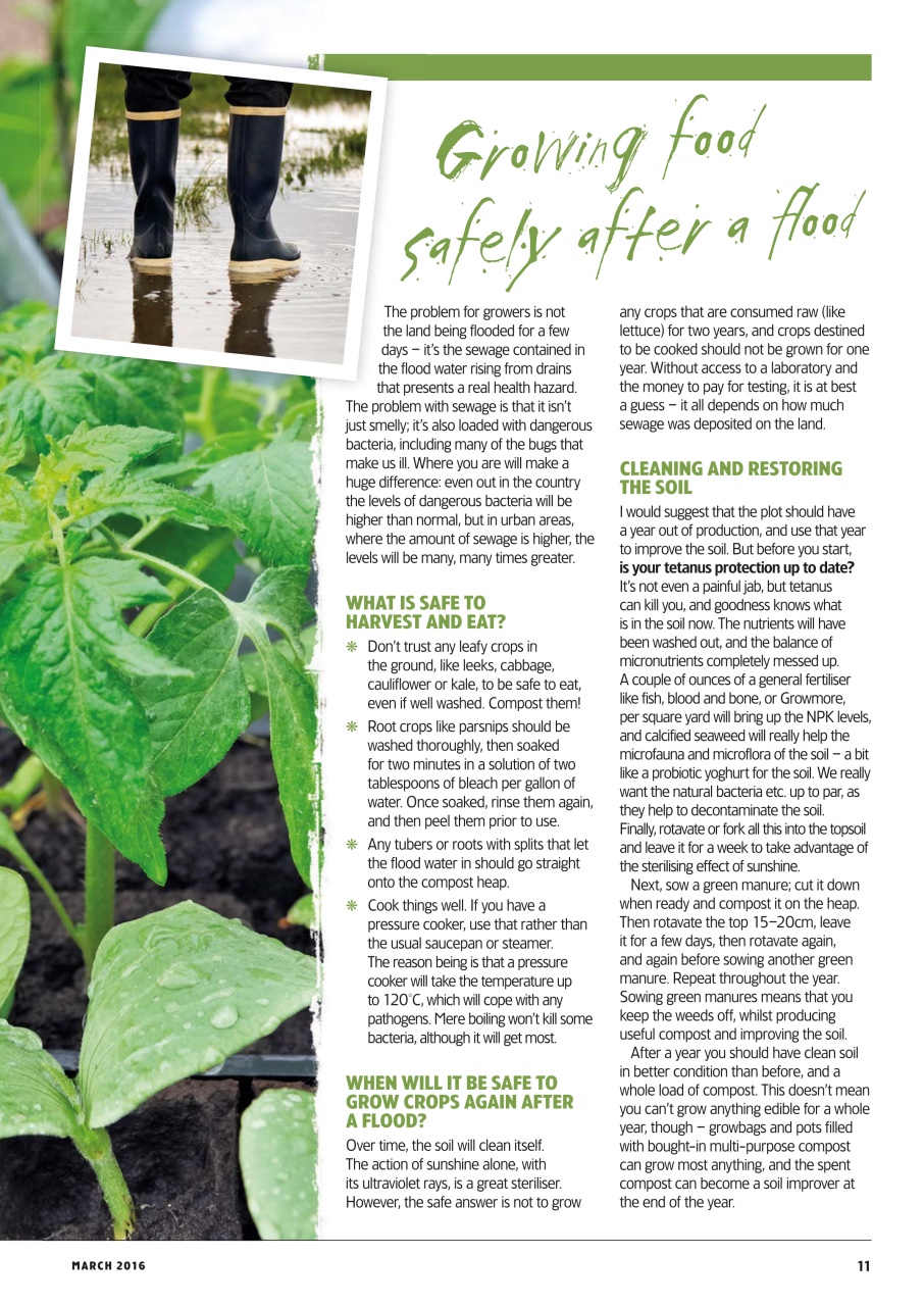 Home Farmer Magazine Preview Pages