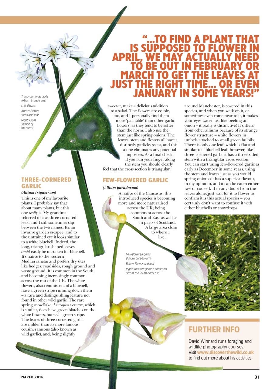 Home Farmer Magazine Preview Pages